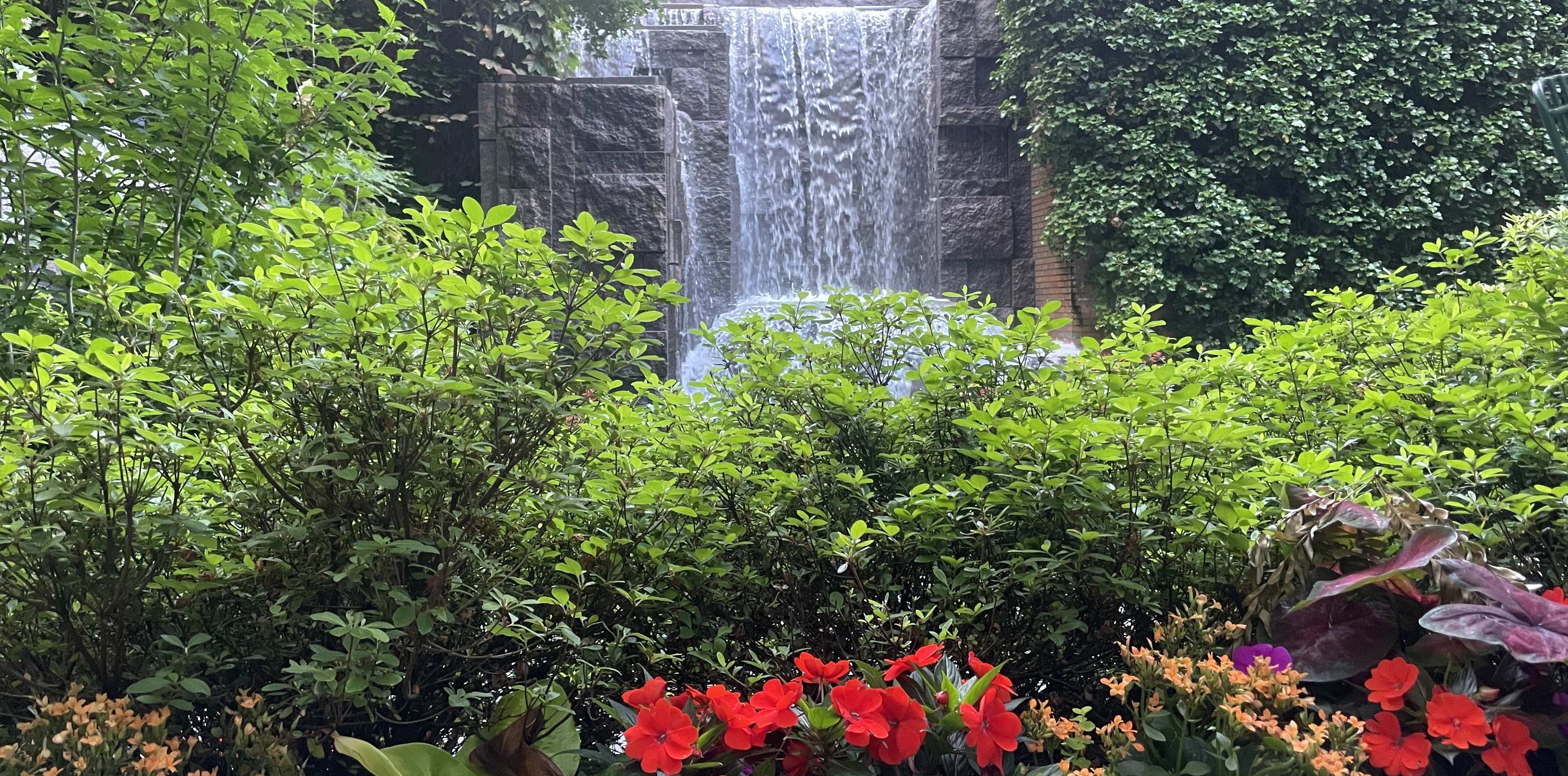 A calm park, New York